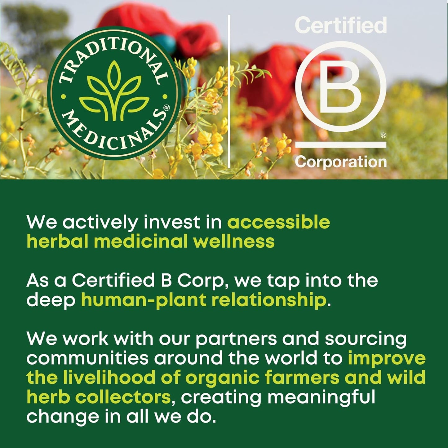non-gmo project verified and certified organic with kosher certification