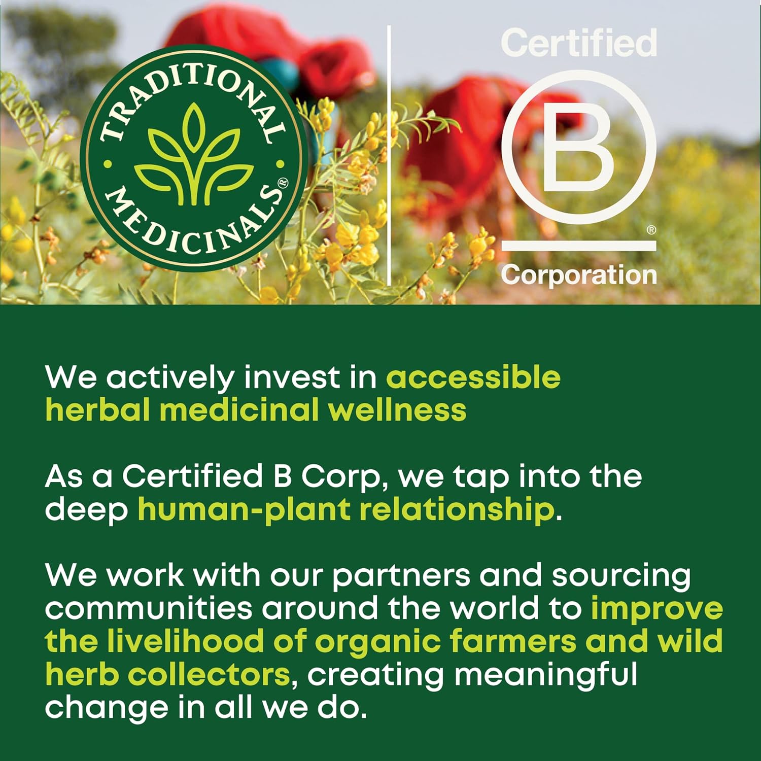 non-gmo project verified and certified organic with kosher certification