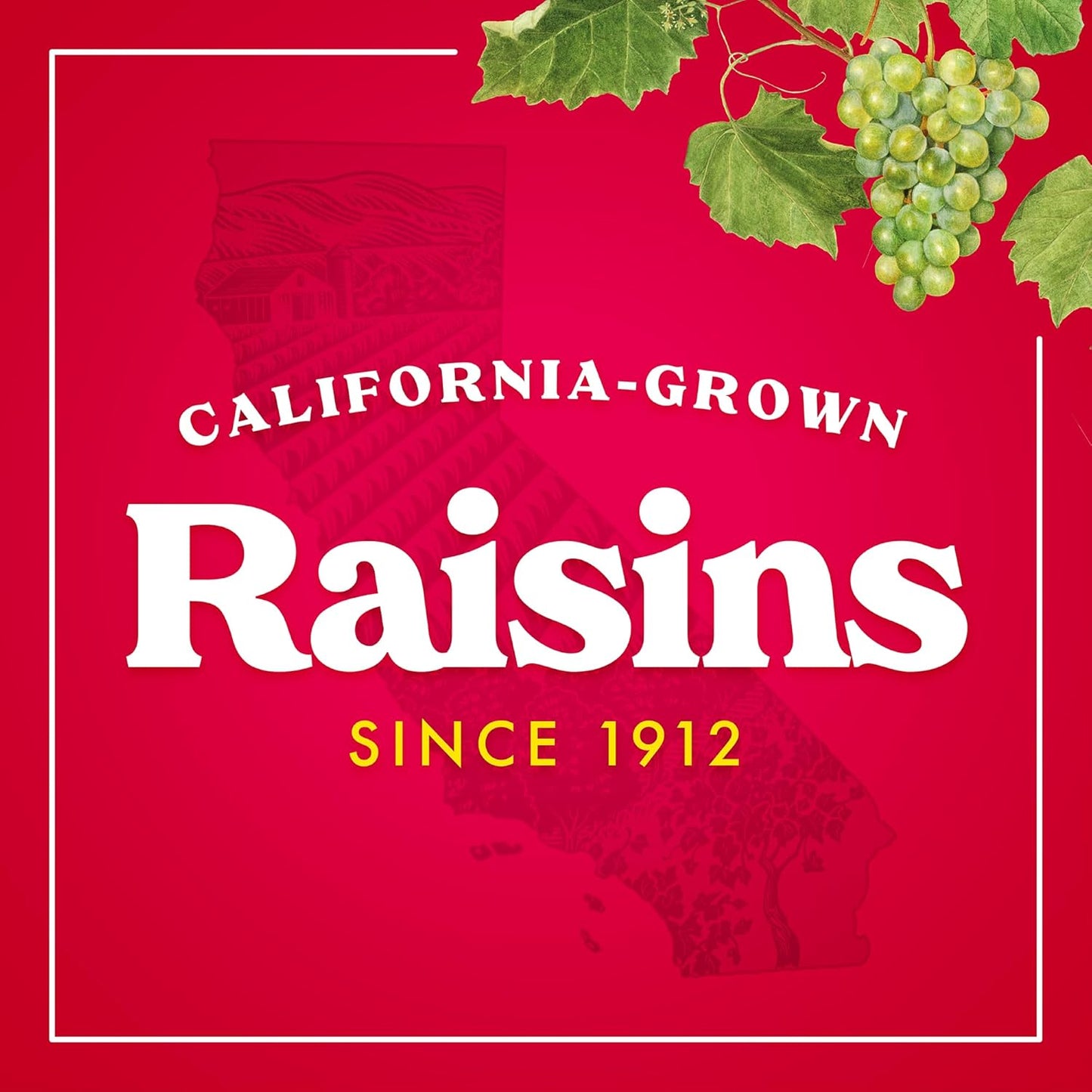 non-gmo project verified certification