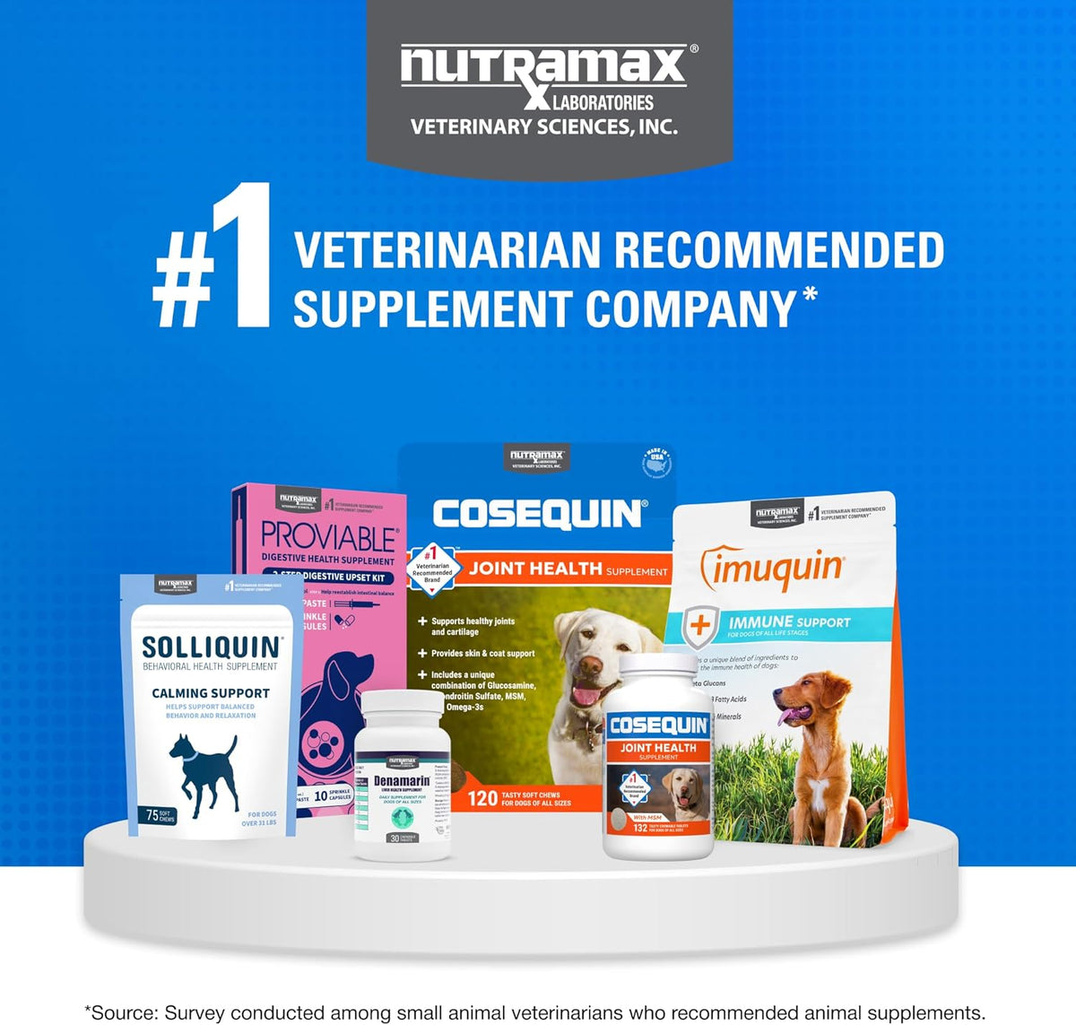 Nutramax Cosequin Joint Supplement for Dogs – Daily Wellness Chewables for Senior Dogs, All Breeds