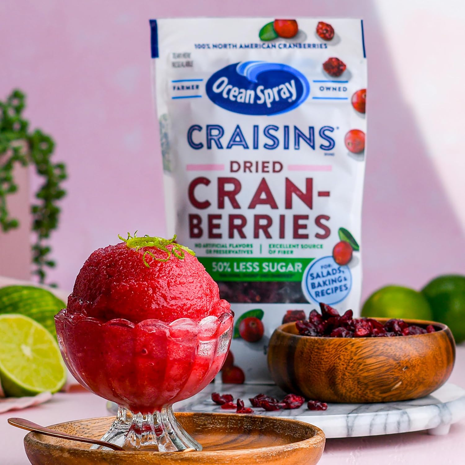 Ocean Spray Craisins 50% Less Sugar Dried Cranberries — Thoughtful Hostess Gift for Holiday Charcuterie Boards and Housewarming Baskets