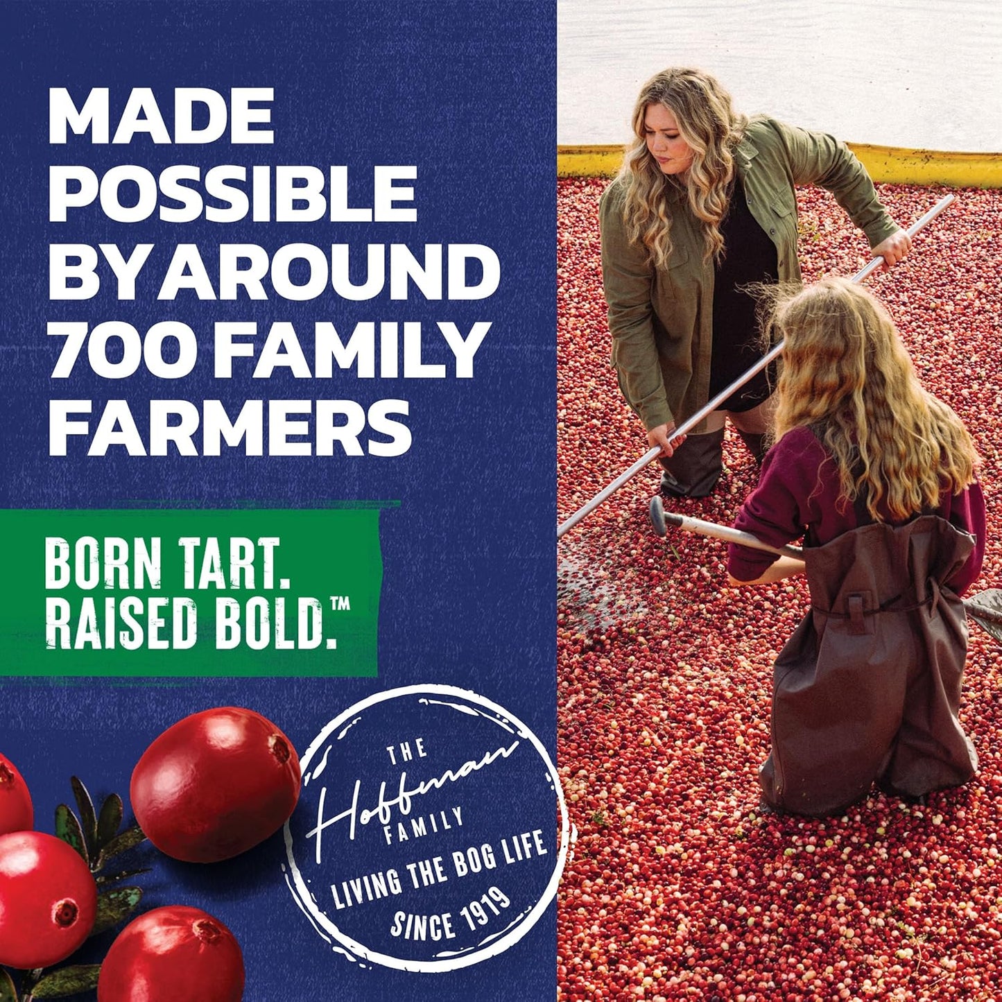 Ocean Spray Cran-Apple Juice Drink – Hostess Gift 6-Pack for Backyard Barbecues