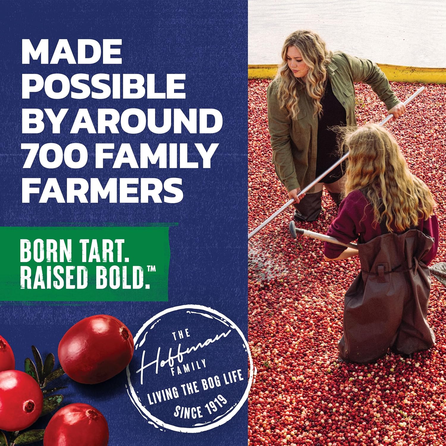 Ocean Spray Cran-Apple Juice Drink – Hostess Gift 6-Pack for Backyard Barbecues