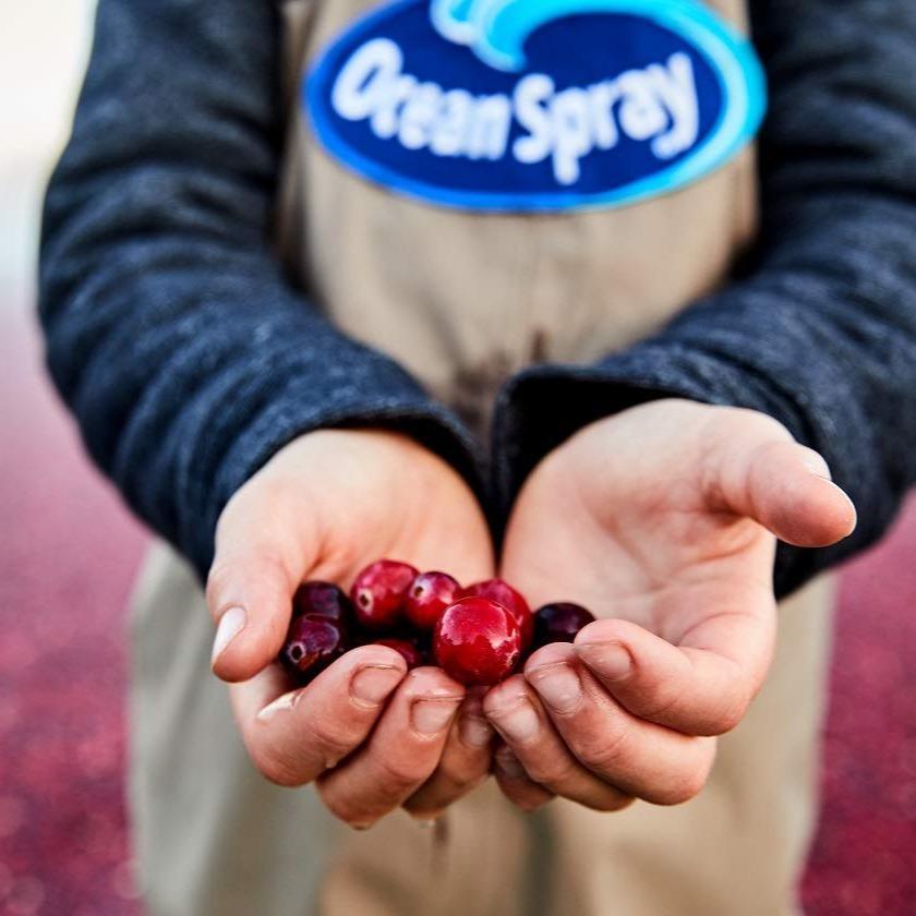 Ocean Spray Cran-Energy Cranberry Raspberry Energy Juice Drink for Self Care Days and Low Calorie Afternoon Pick Me Ups