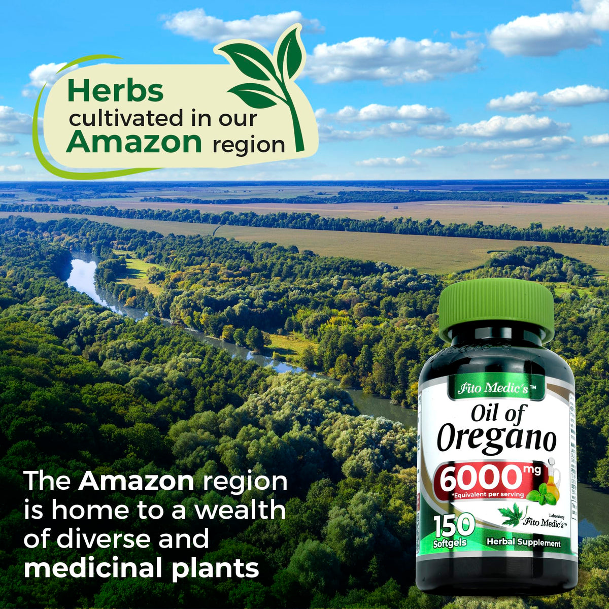 oil of oregano herbal active ingredient