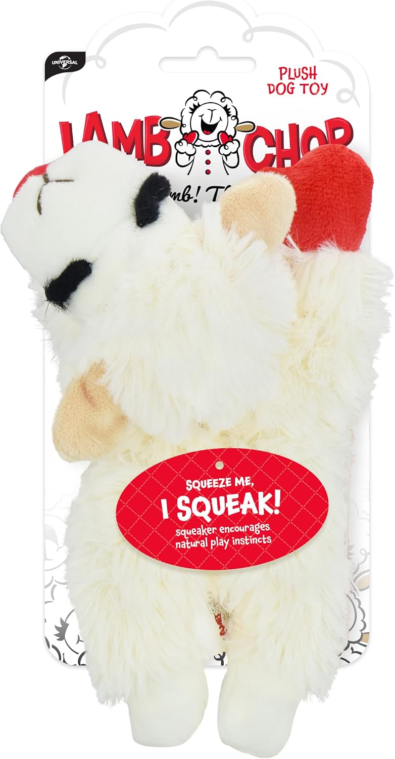 one internal squeaker embedded in the stuffing