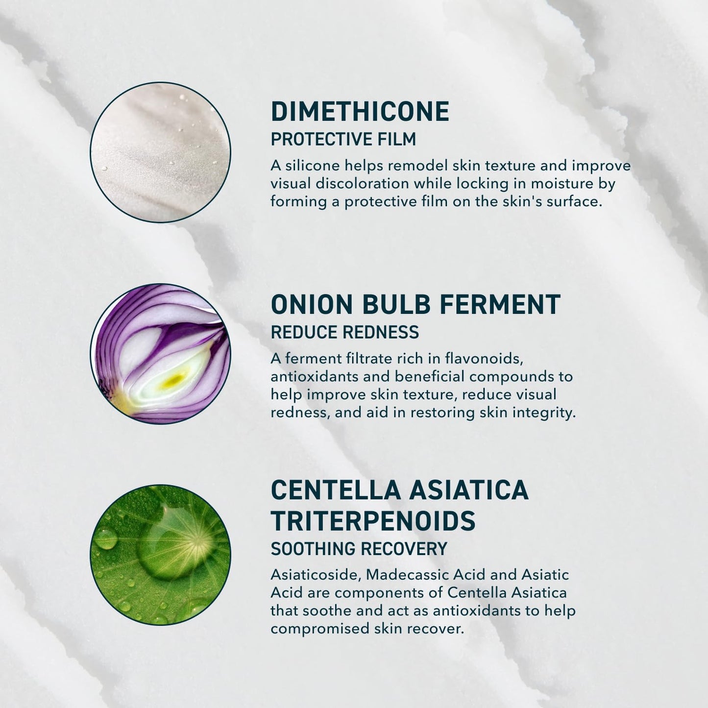 onion bulb ferment antioxidant to reduce visible redness