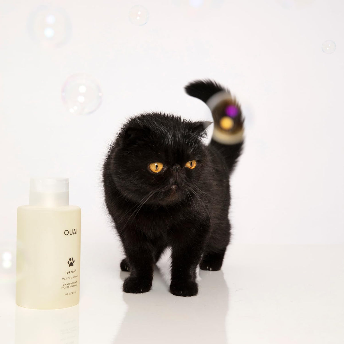 OUAI Fur Bébé Pet Shampoo - Elevated Housewarming Gift for New Pet Parents and Multi-Pet Households, Vegan Formula (16 Fl oz)