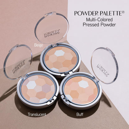 palette container compatible with kabuki or blush brush application