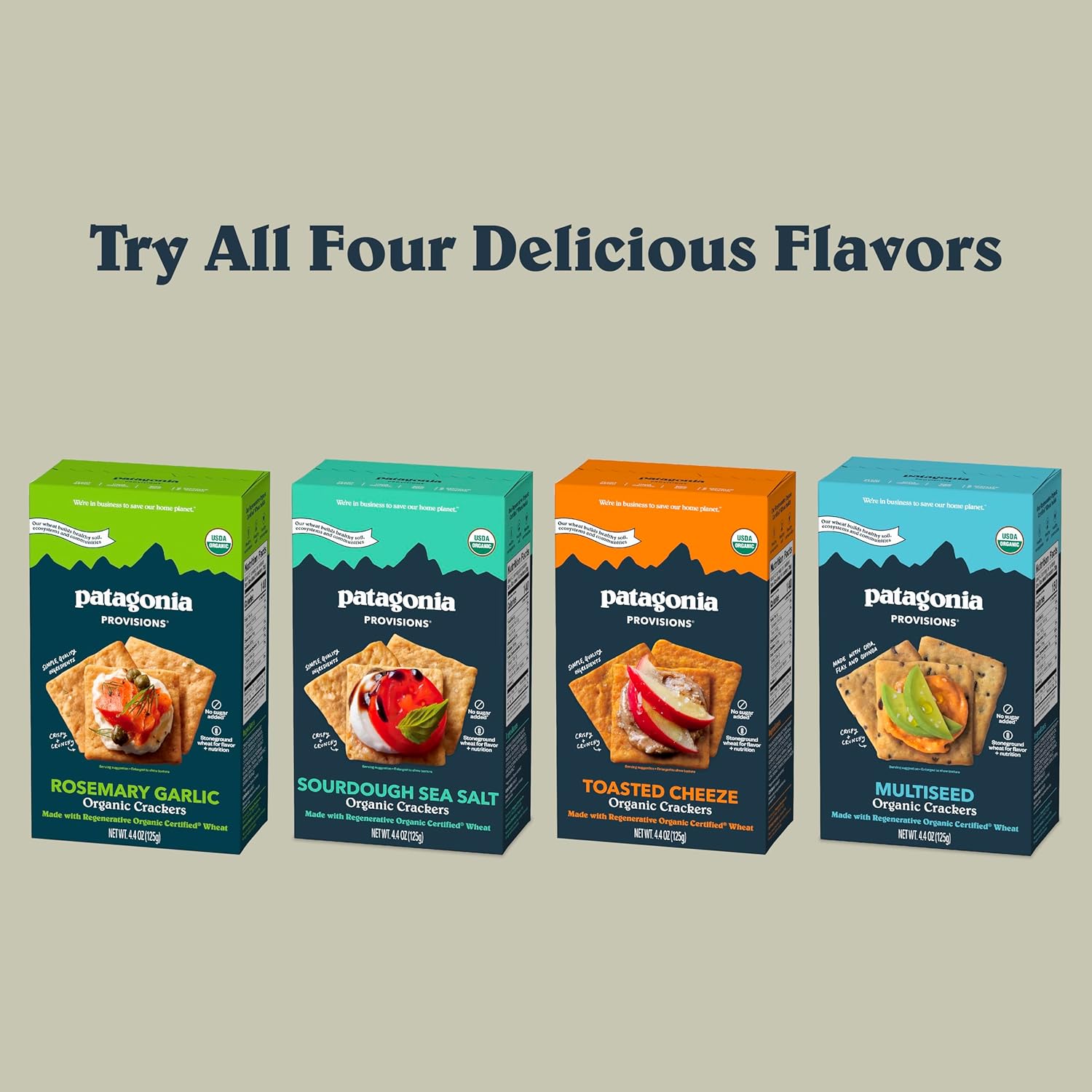 Patagonia Provisions Sourdough Sea Salt Crackers – Thoughtful Gourmet Gift for Hosts and Housewarming Baskets