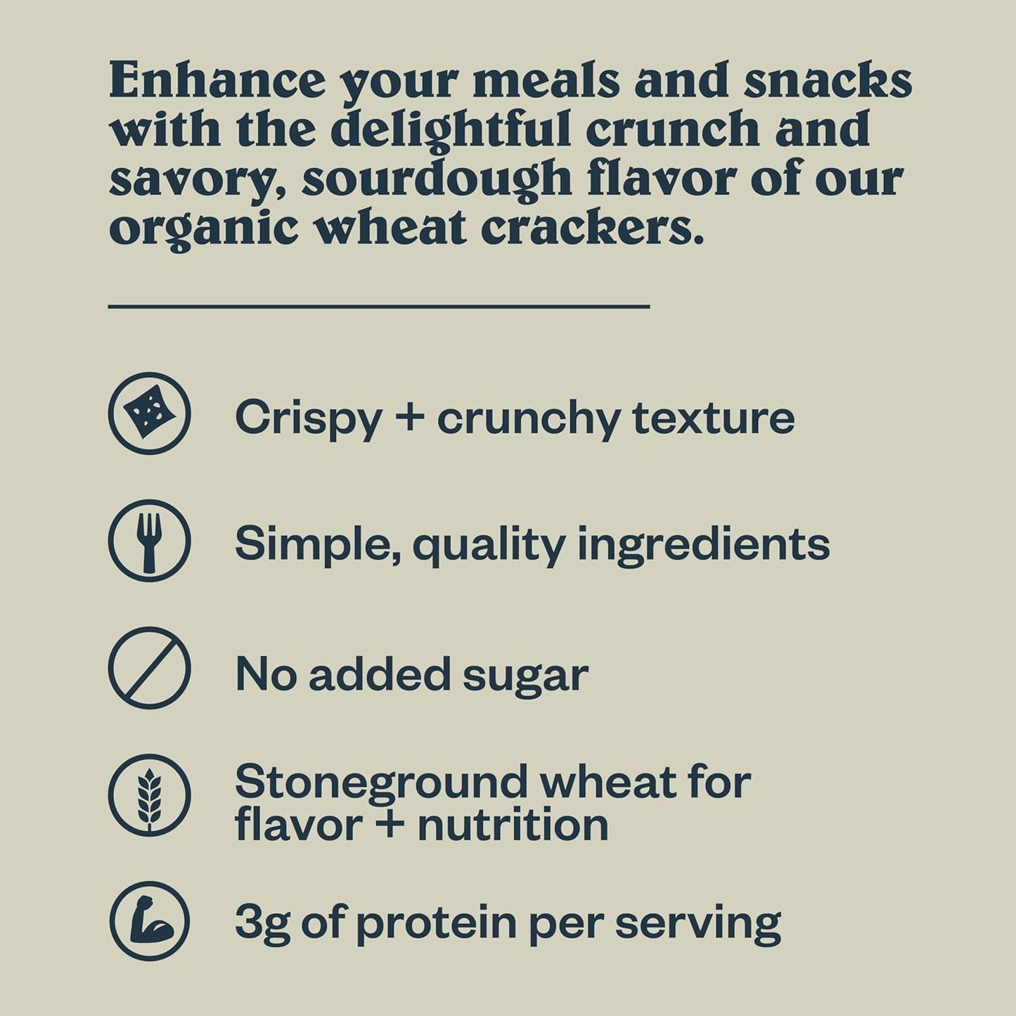 Patagonia Provisions Sourdough Sea Salt Crackers – Thoughtful Gourmet Gift for Hosts and Housewarming Baskets