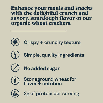 Patagonia Provisions Sourdough Sea Salt Crackers – Thoughtful Gourmet Gift for Hosts and Housewarming Baskets
