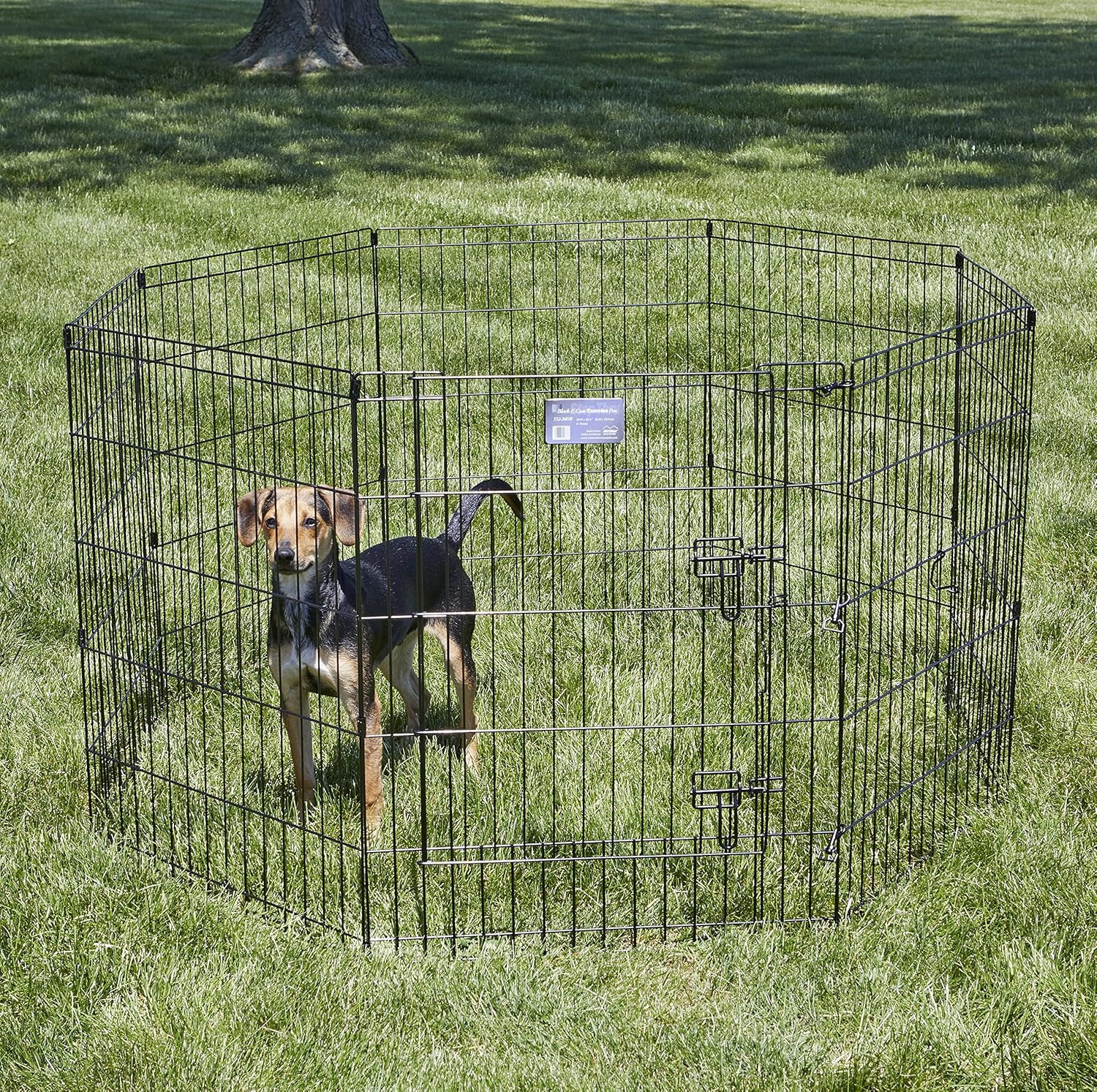 patented paw block safety technology paired with slide-bolt latch and thumb snaps to block escapes