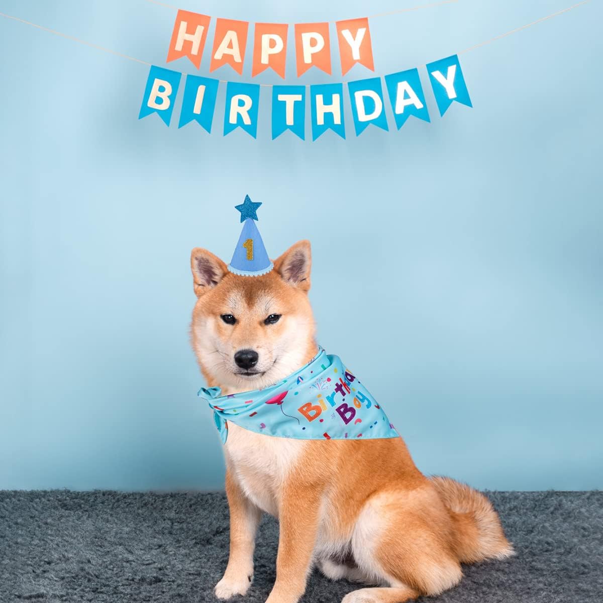 Pawty Pals Dog Birthday Hat – Adjustable Elastic Fit for Comfortable Wear During Kids and Pet Playtime