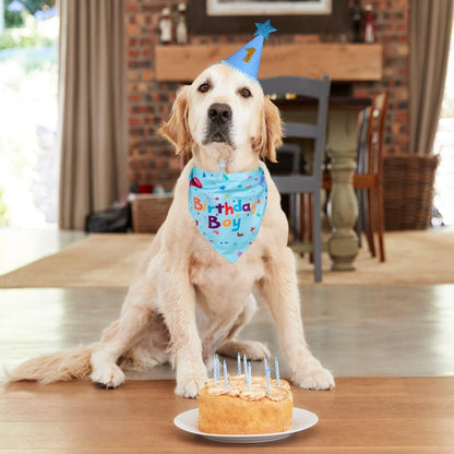 Pawty Pals Dog Birthday Hat – Adjustable Elastic Fit for Comfortable Wear During Kids and Pet Playtime