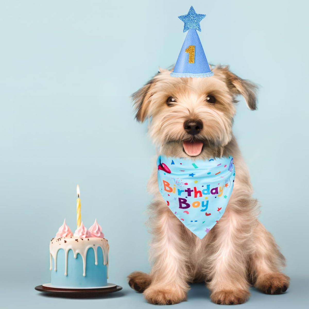 Pawty Pals Dog Birthday Hat – Adjustable Elastic Fit for Comfortable Wear During Kids and Pet Playtime