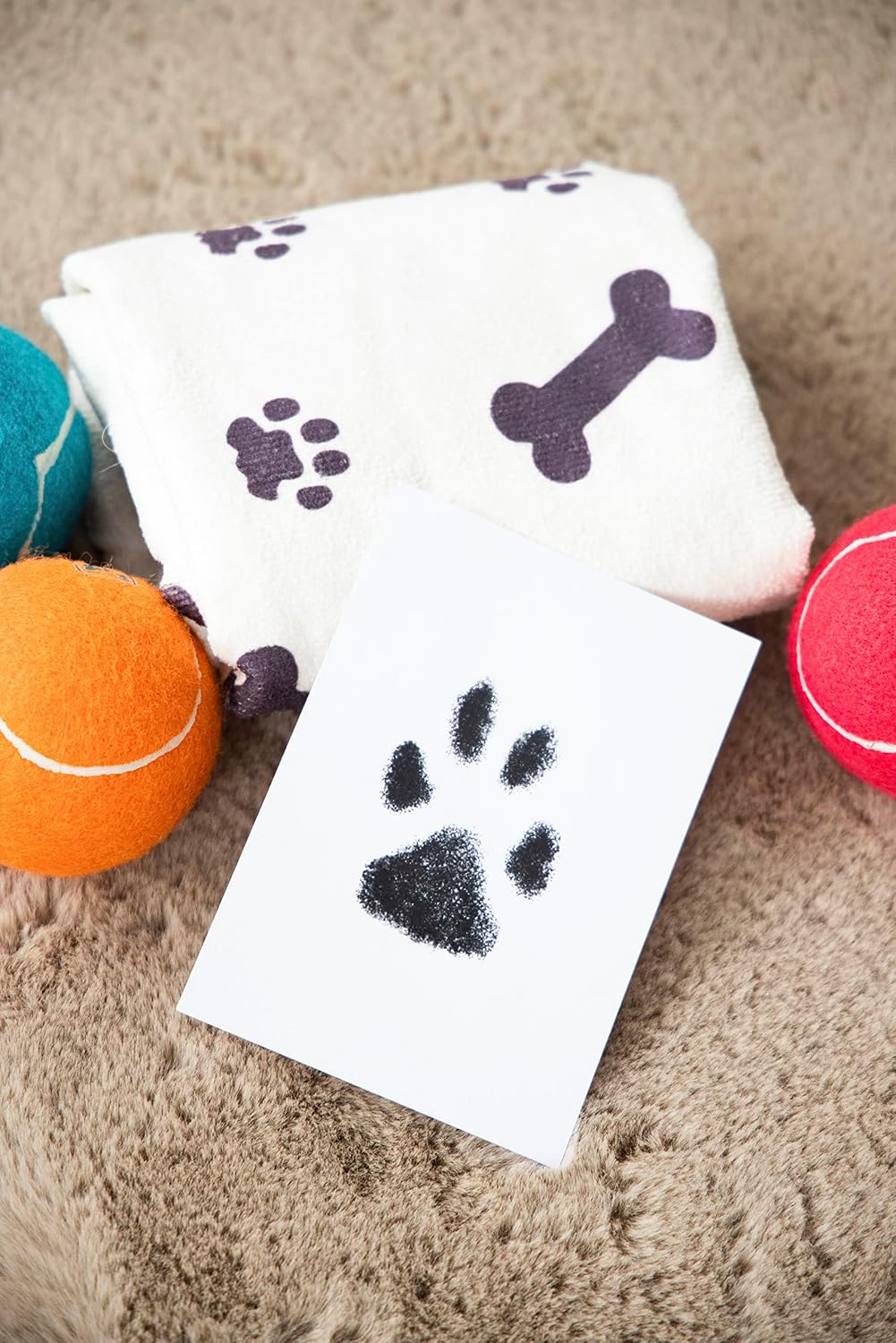 Pearhead Pawprint Kit – Seasonal Home Decor Accent with Pumpkin and Heart Themes, Pet-Friendly Display Set