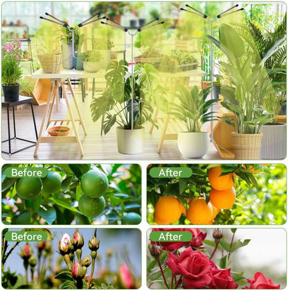 Plant Growing Light – Housewarming Gift for New Homeowners, 62 Inch Adjustable Tripod Grow Lamp