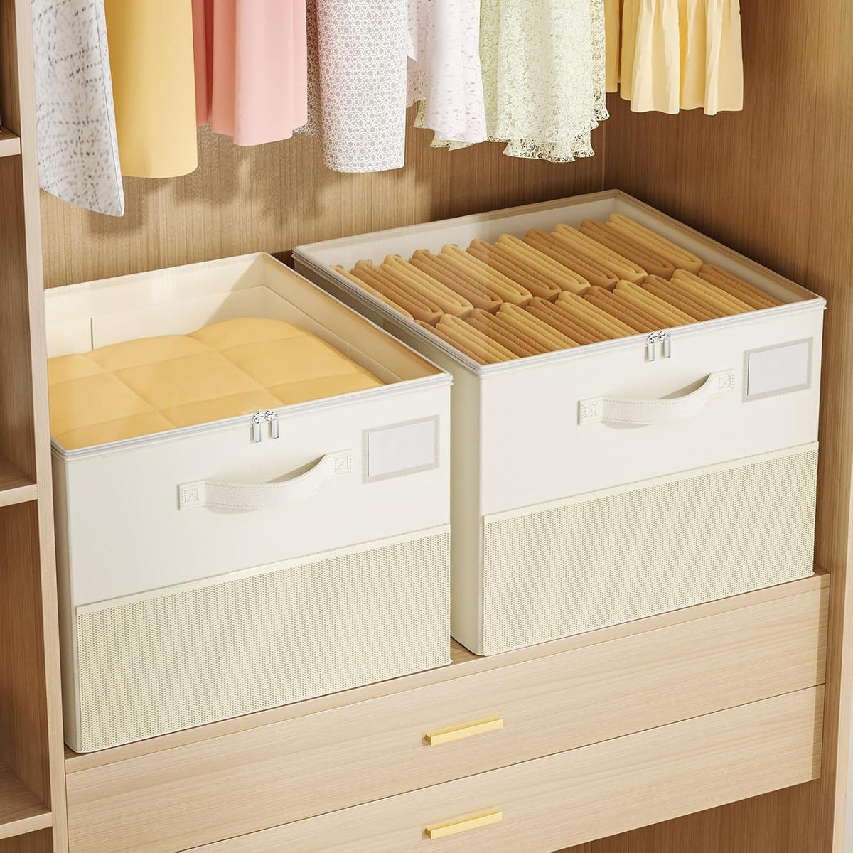 Plus Size 2 Pack Shoe Organizer for Closet – Labeled Stackable Storage for an Organized Daily Workflow
