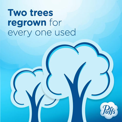 Puffs Plus Lotion Facial Tissues for Playroom and Family Living Room, Allergy and Runny Nose Relief