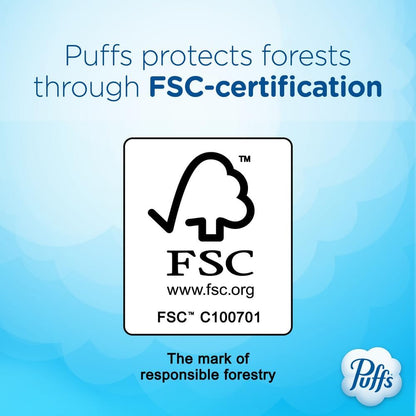 Puffs Plus Lotion Facial Tissues for Playroom and Family Living Room, Allergy and Runny Nose Relief