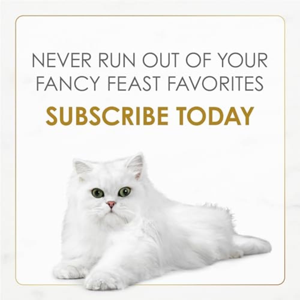 Purina Fancy Feast Gravy Lovers Cat Food Variety Pack – Thoughtful Gift for Foster Cat Parents Stocking Up on Wet Food