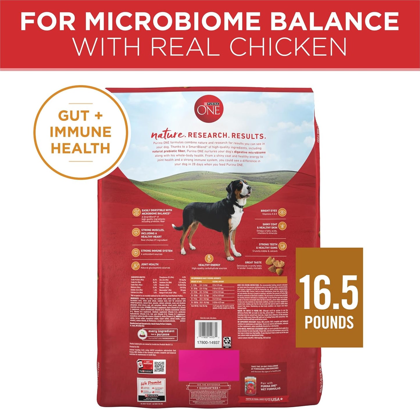 Purina ONE Chicken and Rice Formula Dry Dog Food – Travel-Friendly Kibble for Camping Trips and Park Adventures