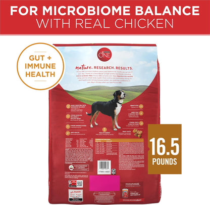 Purina ONE Chicken and Rice Formula Dry Dog Food – Travel-Friendly Kibble for Camping Trips and Park Adventures