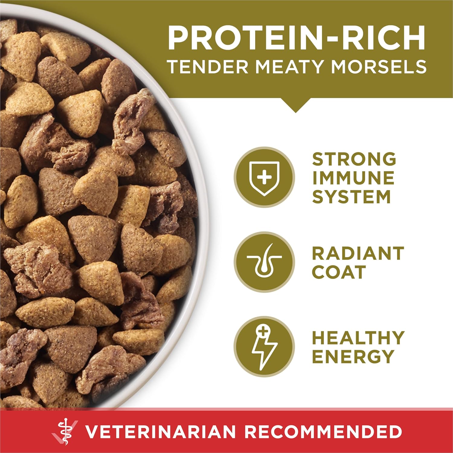Purina ONE Lamb and Rice Formula - Sensitive Stomach Daily Nutrition for Adult Dogs, 31.1 lb. Bag