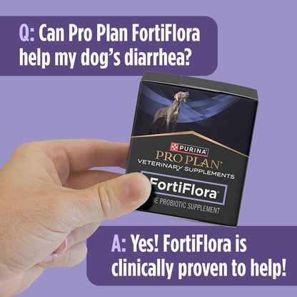 Purina Pro Plan FortiFlora Probiotic Supplement for Dogs – At-Home Digestive Care During Meal Prep and Recovery
