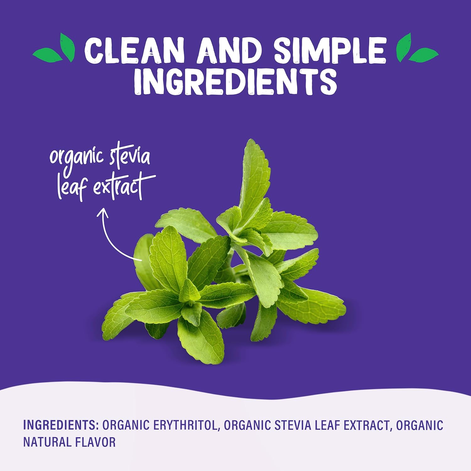 Pyure Organic Stevia Blend – Daily Wellness Sweetener for Mindful Coffee and Tea Rituals