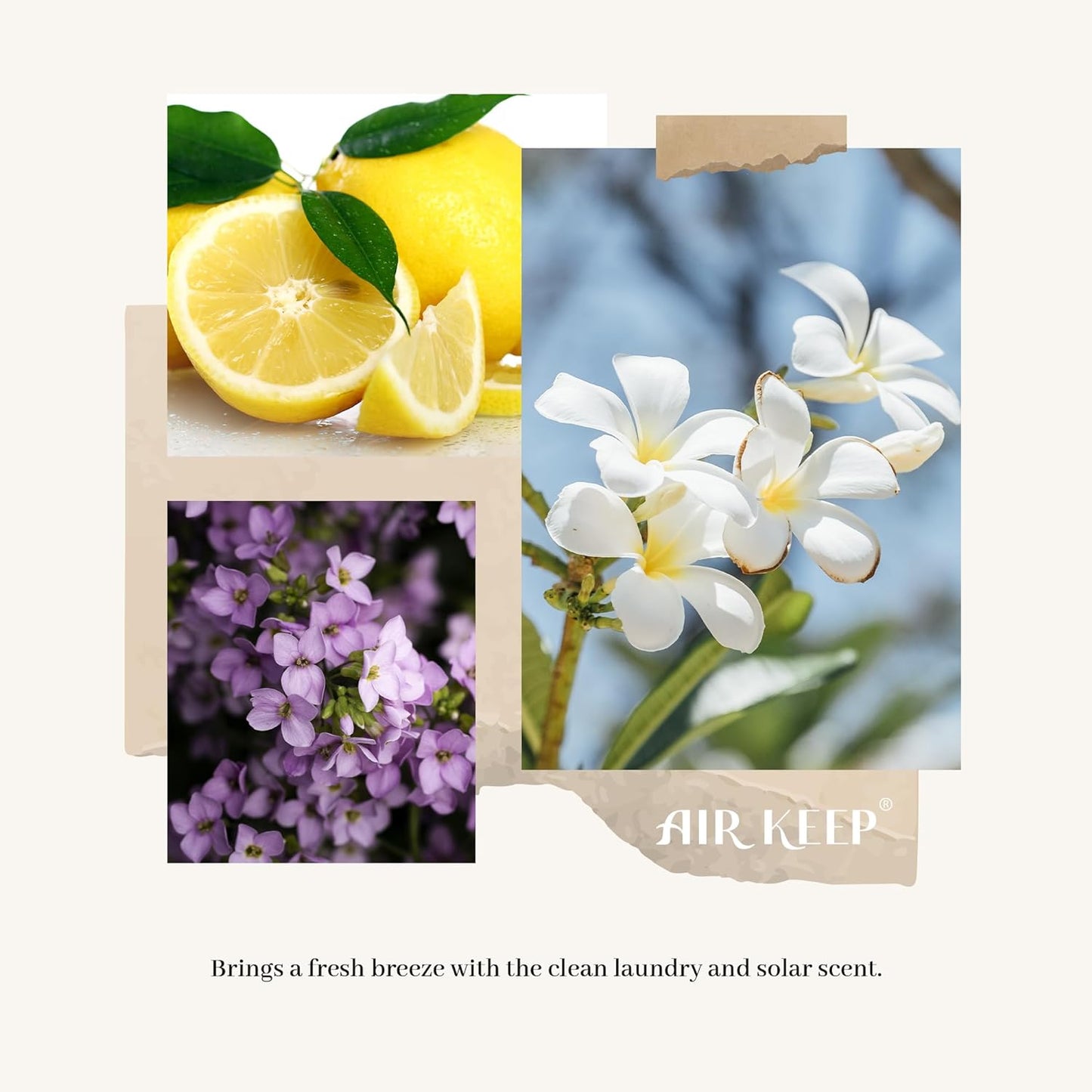 Reed Diffuser Set – Christmas Gift Idea for Mom, Flameless Home Fragrance with Real Flower Topper Accent