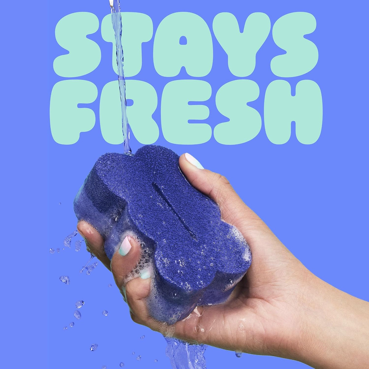 refill-compatible ecosystem so the stand pairs with multi-pack replacement sponges