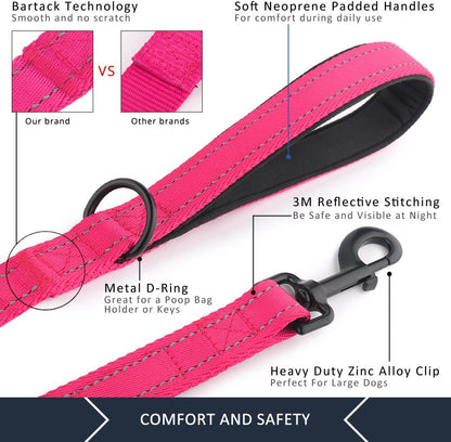 reflective thread stitched along both sides of the leash