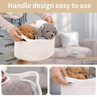 reinforced integrated carrying handles