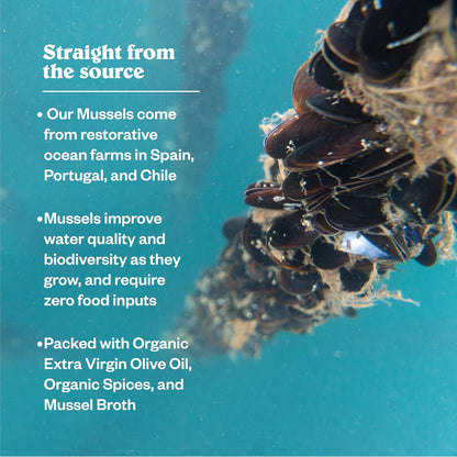 responsibly sourced mussels from trusted fishing partners using low-bycatch methods