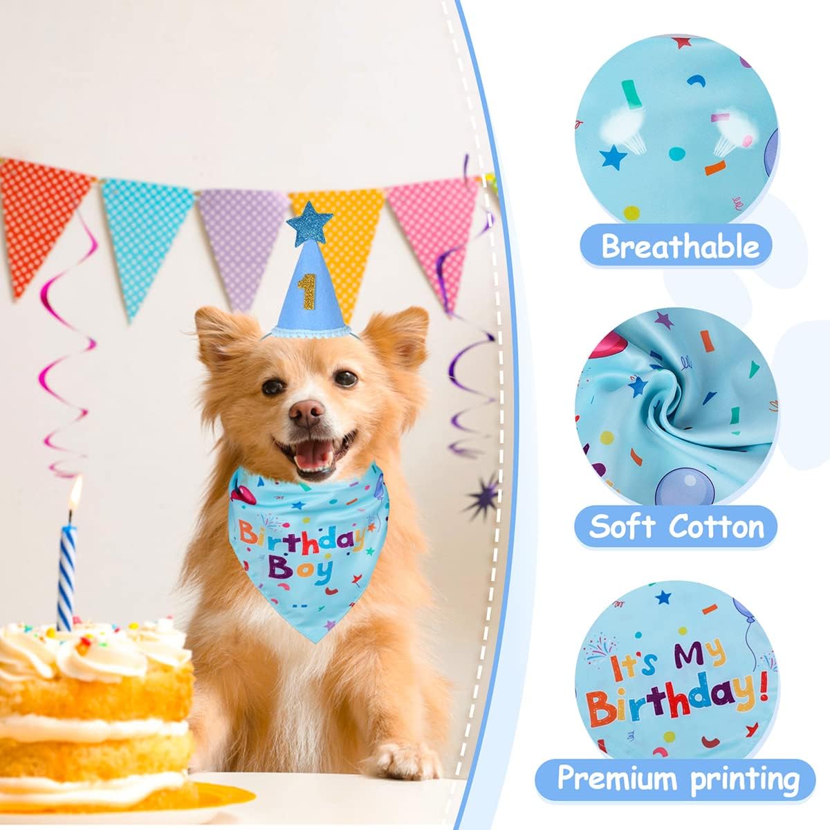 reversible number tiles 0-8 (6 converts to 9) to mark the dog's specific age