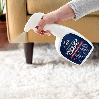 Rocco & Roxie Supply Co. Stain & Strong Odor Eliminator – Non-Toxic Enzyme Pet Cleaner for Child-Safe Family Homes