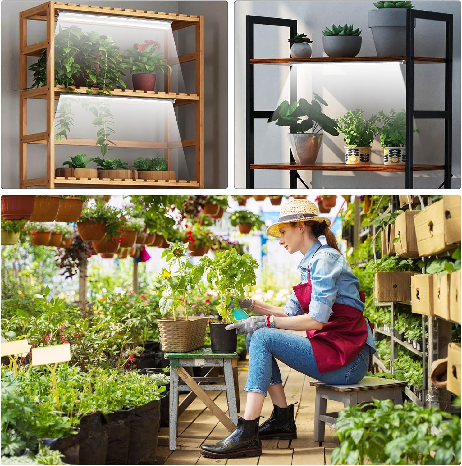 Roleadro 2-Bar LED Grow Light – Child and Pet Safe Plant Shelf with 12V Low-Voltage Operation