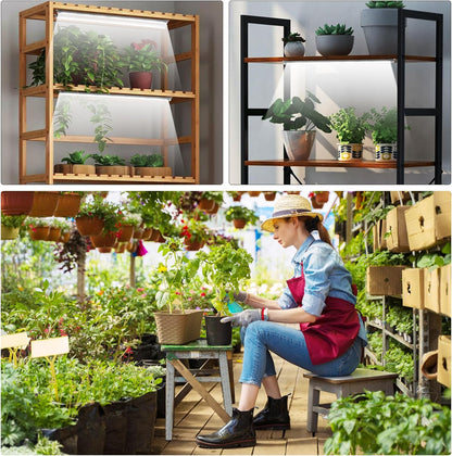 Roleadro 2-Bar LED Grow Light – Child and Pet Safe Plant Shelf with 12V Low-Voltage Operation