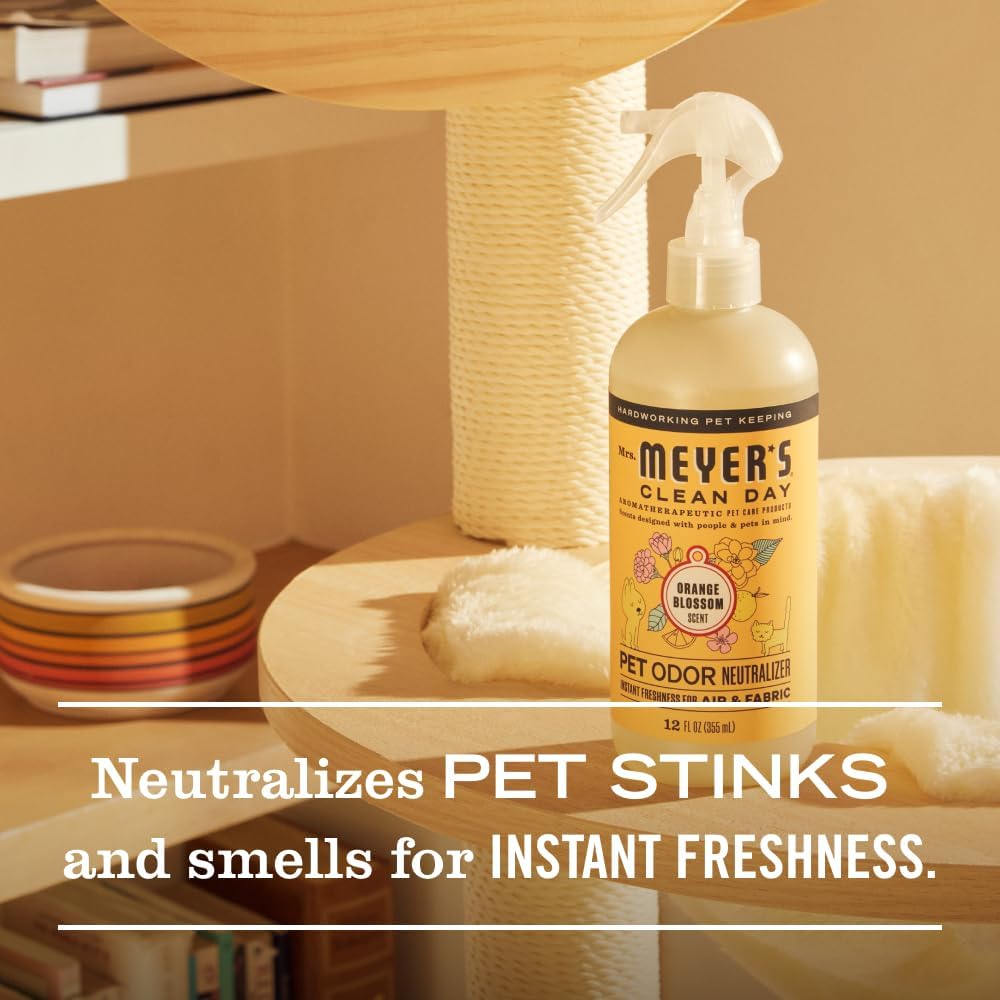 safe for carpets, rugs, upholstery, bedding, and clothing fabrics
