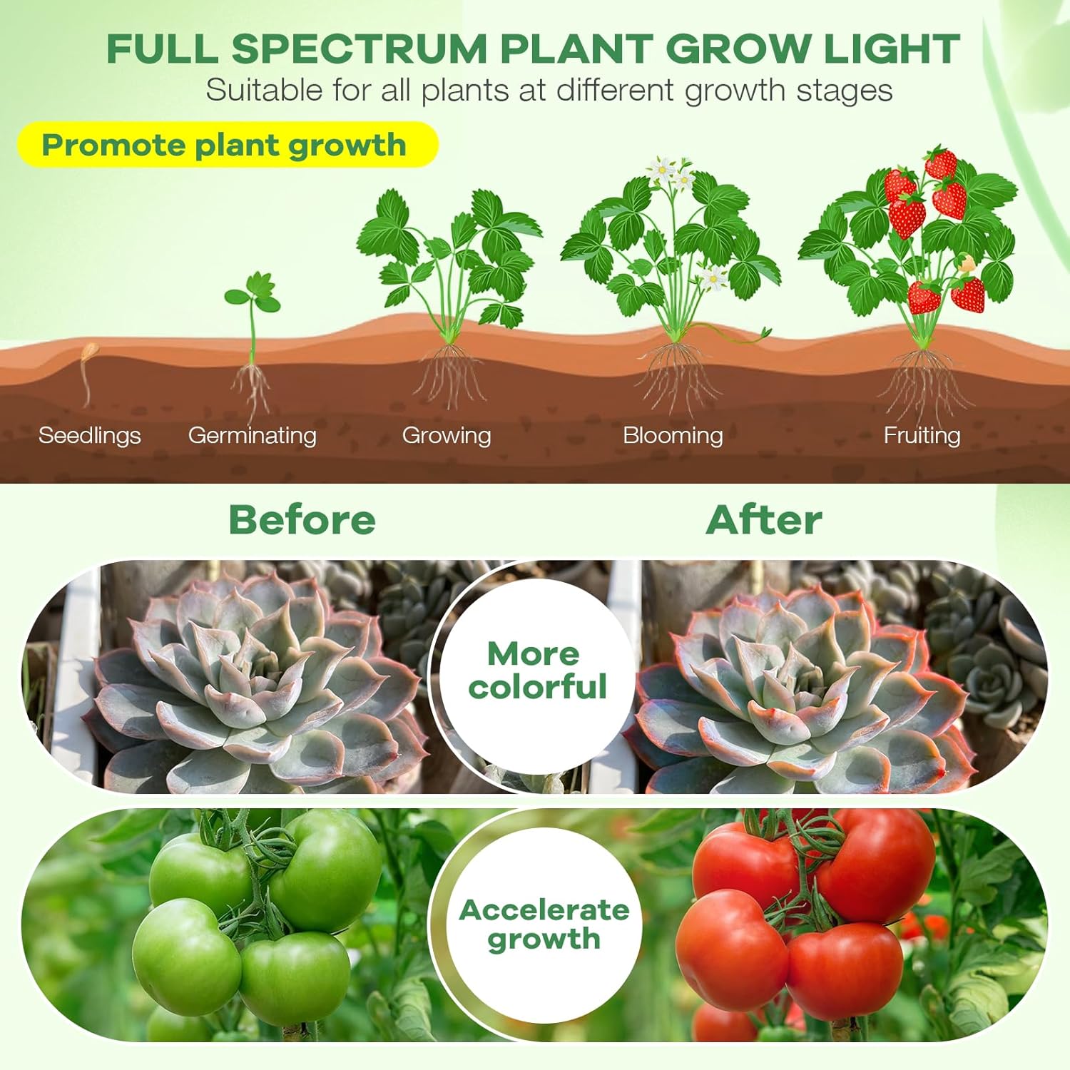 SANSI Grow Light – Thoughtful Housewarming Gift for Plant Lovers and New Apartment Dwellers