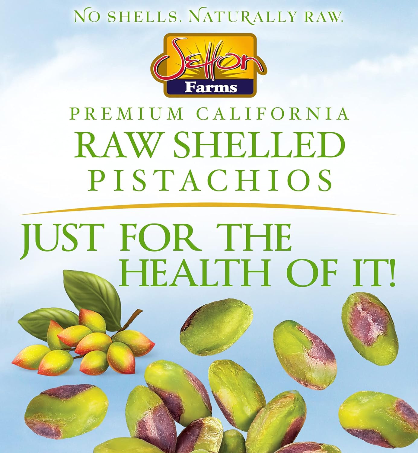 Setton Farms Raw Shelled Pistachios – Portable 5 oz Resealable Pouch for Hiking, Camping, and Travel Days