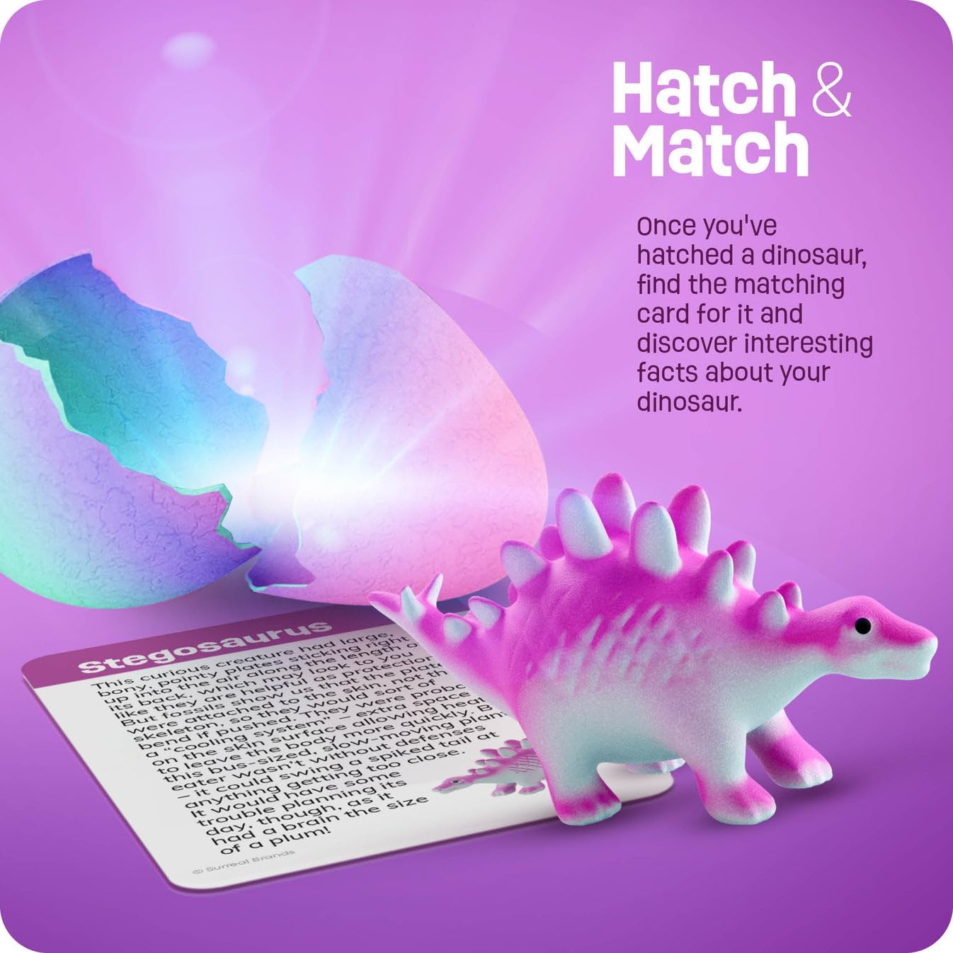 single-variant multicolored packaging designed for gift-giving presentation