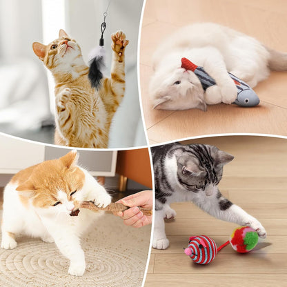 sized for all breed sizes and all age ranges from kitten to senior