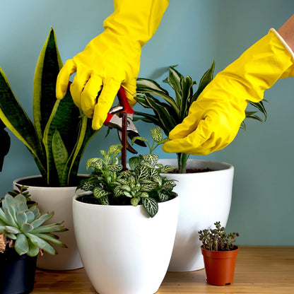 soft planting-velvet inner lining that stays in place and absorbs moisture
