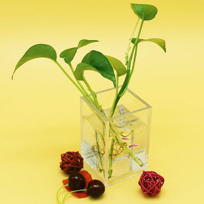 sold as a 2-pack and available in clear, black, and white color variants