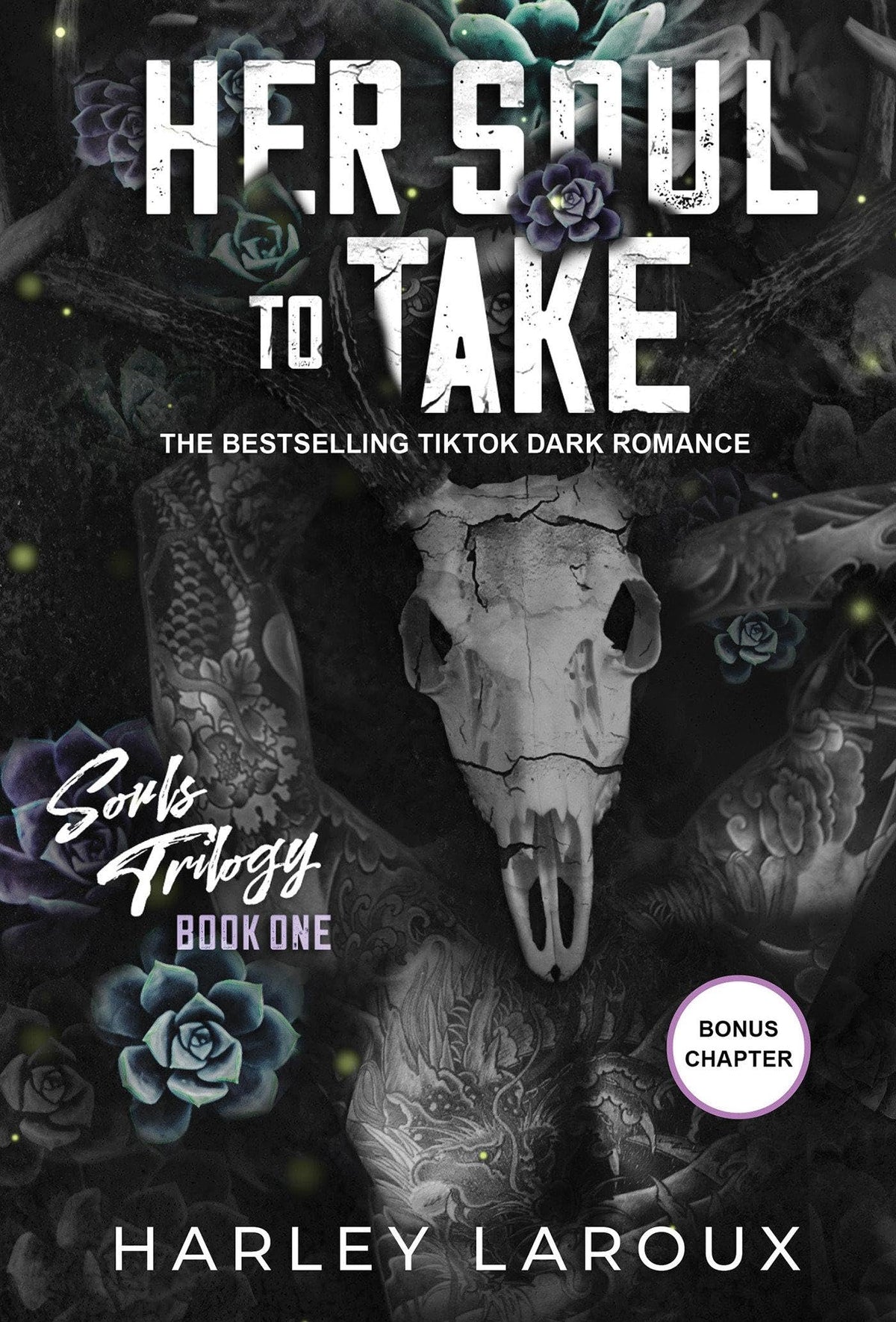 Souls Trilogy Her Soul to Take Dark Academia Romance Novel Bookshelf Display for Bedroom and Reading Nook