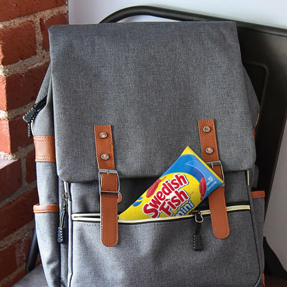 SOUR PATCH KIDS and SWEDISH FISH Mini Candy Pack – Portable Snack Bags for Road Trips, Camping, and Outdoor Adventures