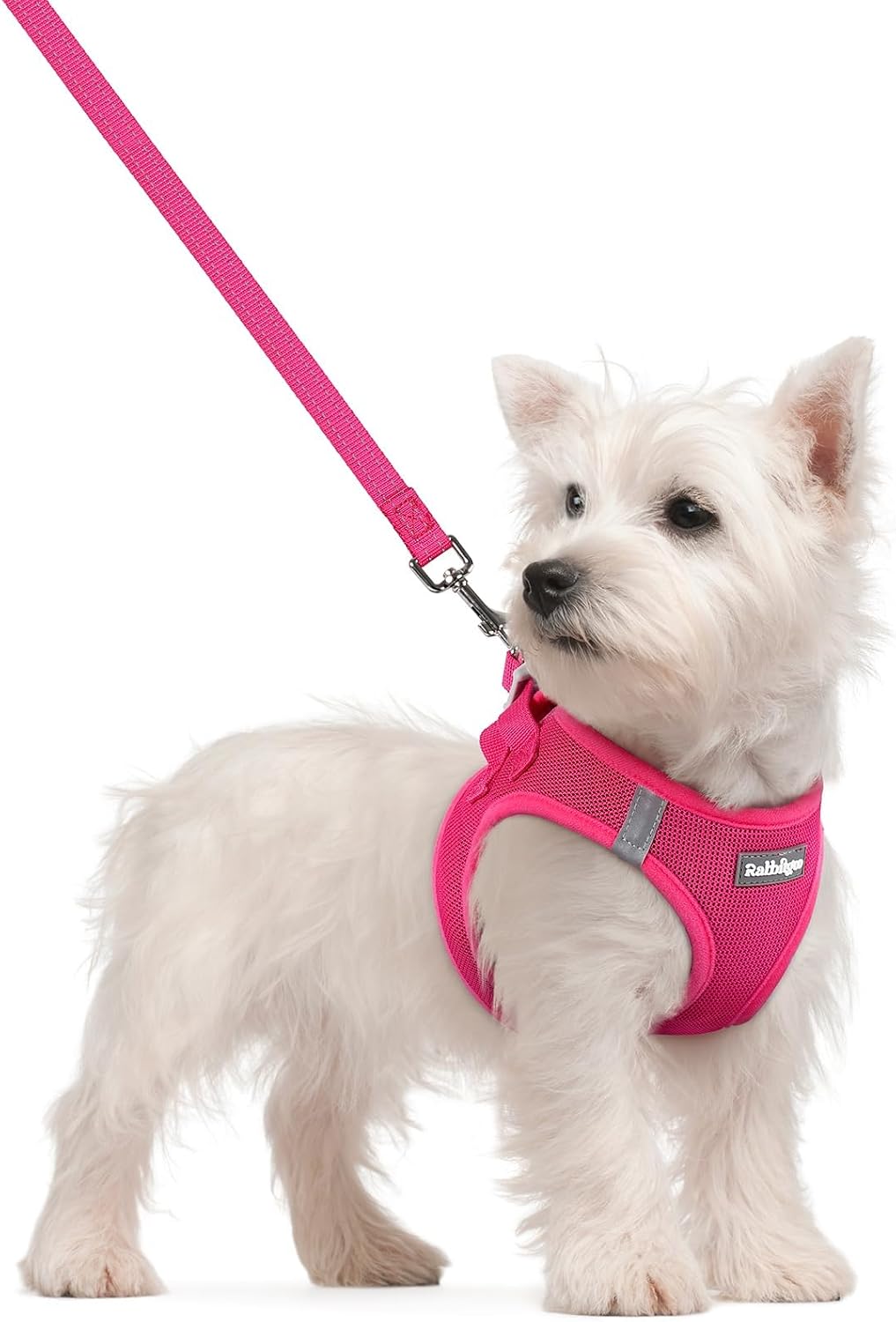 step-in vest-style entry with adjustable hook-and-loop tape and buckle closure